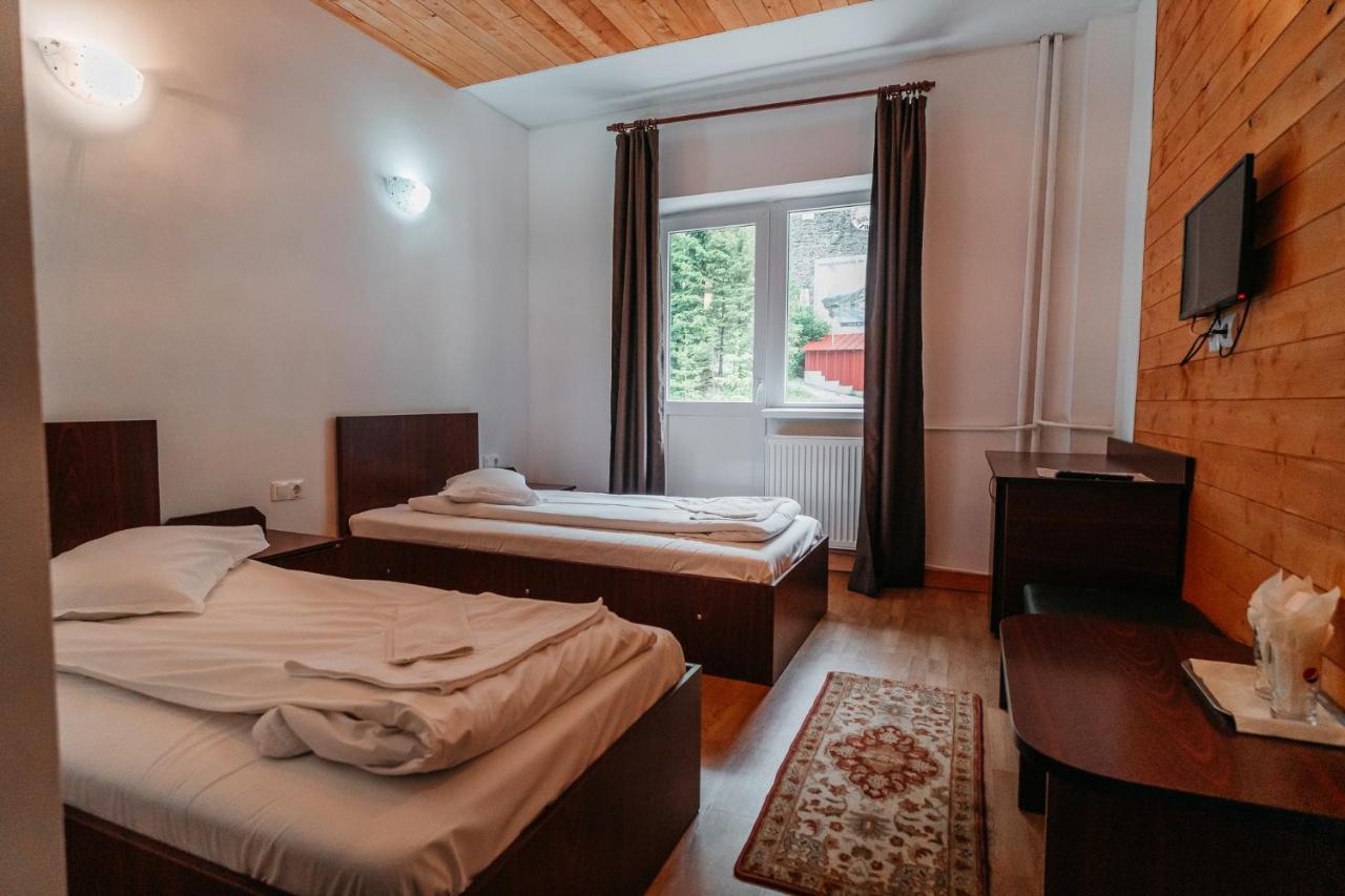 Balea Cascada Bed & Breakfast Cîrţişoara Exterior foto