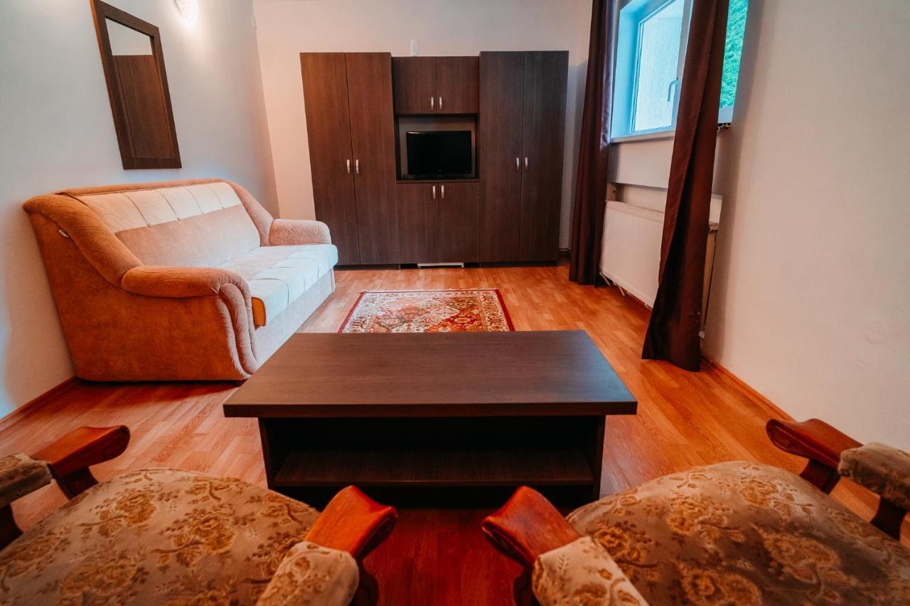 Balea Cascada Bed & Breakfast Cîrţişoara Exterior foto