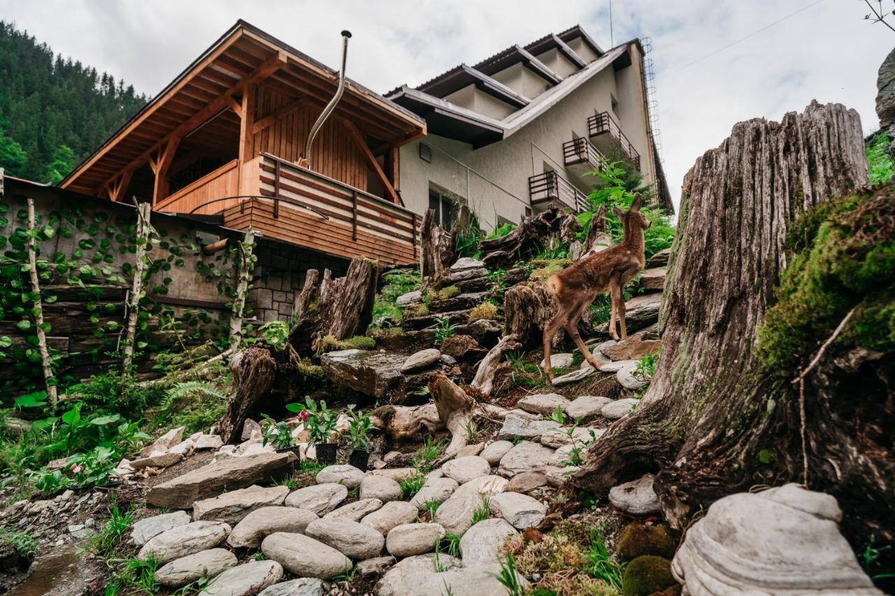Balea Cascada Bed & Breakfast Cîrţişoara Exterior foto