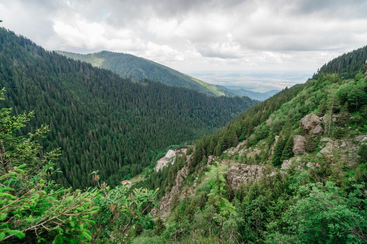 Balea Cascada Bed & Breakfast Cîrţişoara Exterior foto