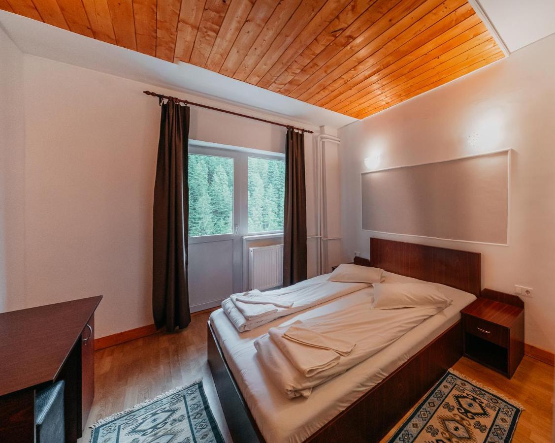 Balea Cascada Bed & Breakfast Cîrţişoara Exterior foto