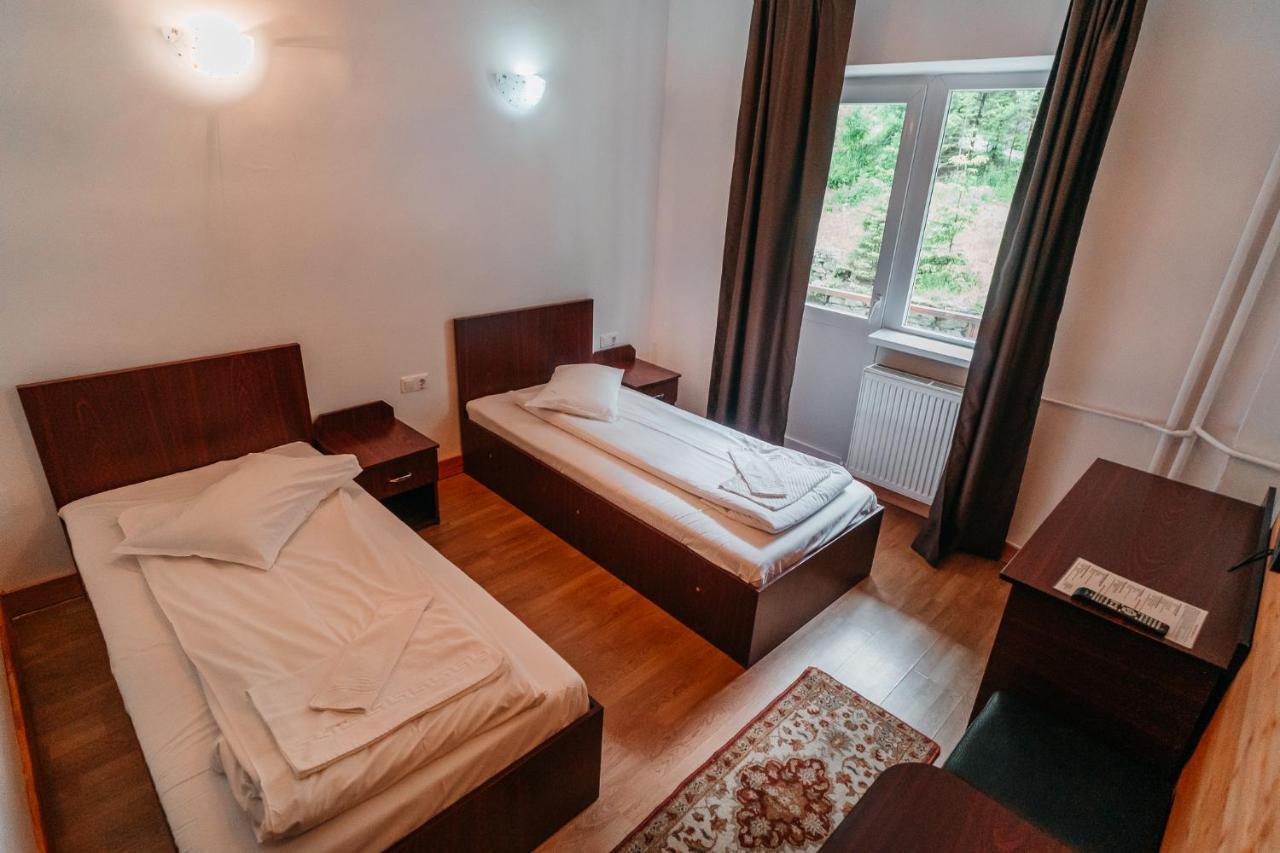 Balea Cascada Bed & Breakfast Cîrţişoara Exterior foto