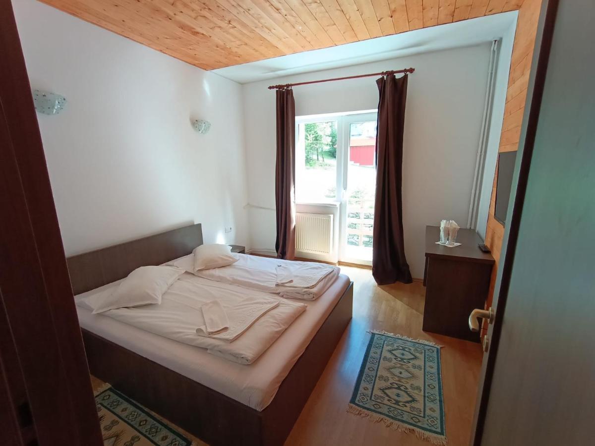 Balea Cascada Bed & Breakfast Cîrţişoara Exterior foto
