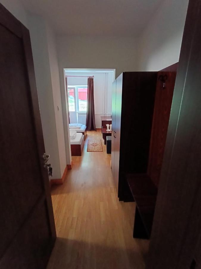 Balea Cascada Bed & Breakfast Cîrţişoara Exterior foto